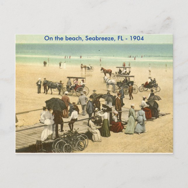 scan0002, On the beach, Seabreeze, FL - 1904 Postcard (Front)