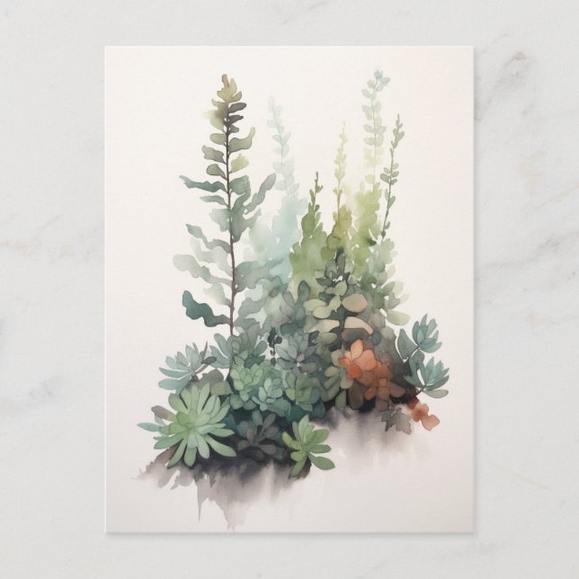 Scandi Succulents - Digital Watercolor Poster Postcard (Front)
