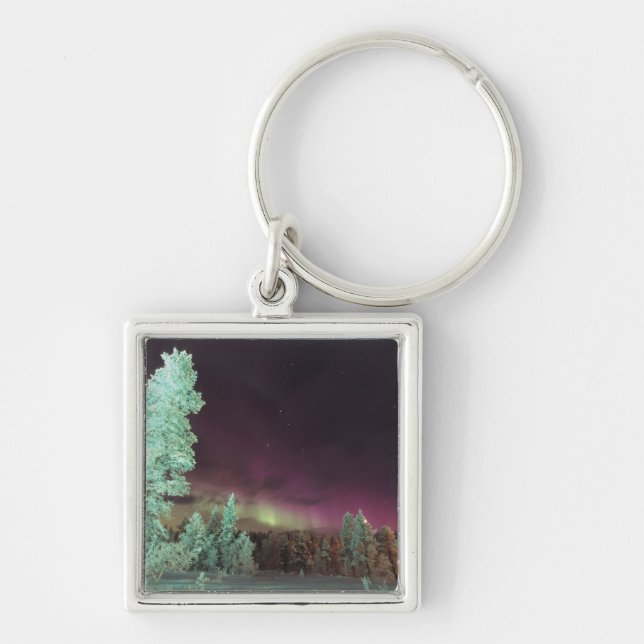 Scandinavia, Finland, Lapland, Kakslauttanen, Keychain (Front)