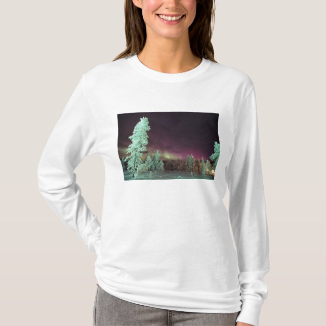 Scandinavia, Finland, Lapland, Kakslauttanen, T-Shirt (Front)