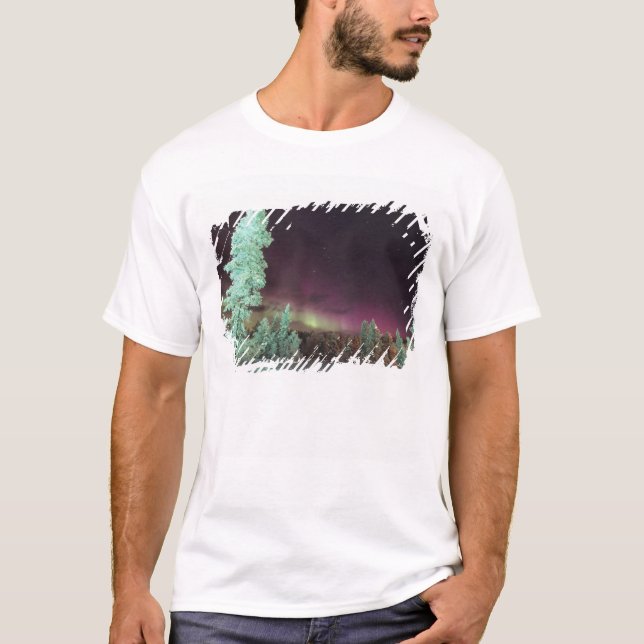 Scandinavia, Finland, Lapland, Kakslauttanen, T-Shirt (Front)