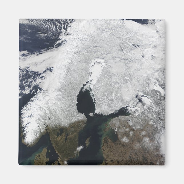 Scandinavia Magnet (Front)