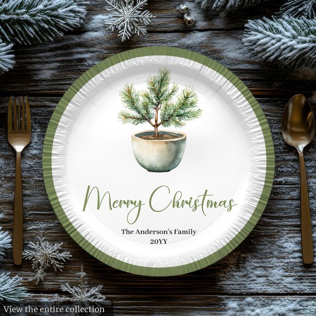 Scandinavian Boho Christmas Bouquet in Earthy  Paper Plates (Scandinavian Boho Christmas Bouquet in Earthy Plate

)