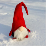 Scandinavian Christmas Gnome Cutout<br><div class="desc">otherwise known as a Tomte Nissa</div>