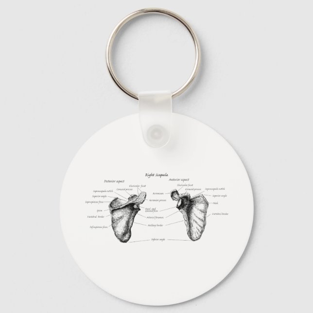 Scapula Details Keychain (Front)