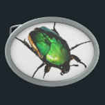 Scarab Beetle Belt Buckle<br><div class="desc">The Egyptian Scarab Beetle has been out in full force this summer. The feral cats have been "gifting" the workshop with these beautiful bugs in the evening. If you would like to see this image on any of the products Zazzle creates, please send us a message. Need assistance customizing this...</div>