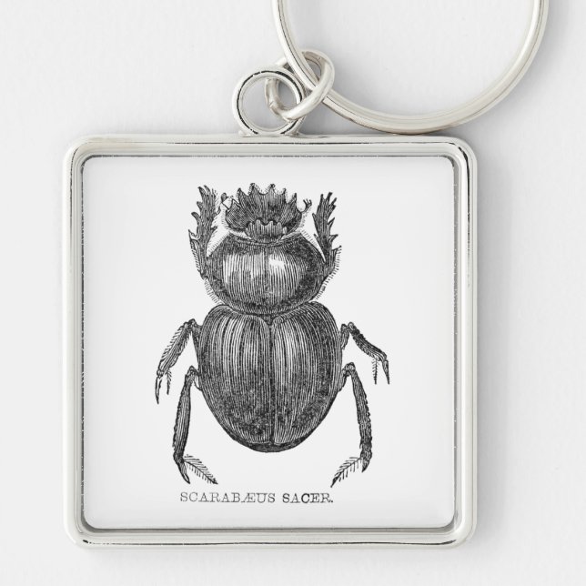 Scarab Beetle Vintage pen and ink drawing Keychain (Front)