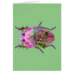 Scarabée Cards