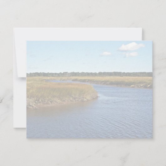 Scarborough Marsh (saltwater) Maine (Front)