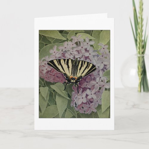 Scarce Swallowtail Butterfly Card