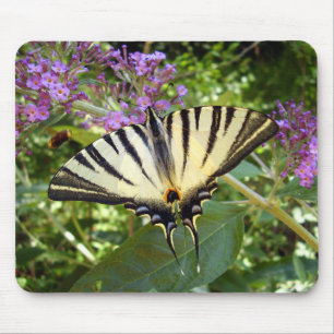 Scarce Swallowtail Butterfly Mouse Mat