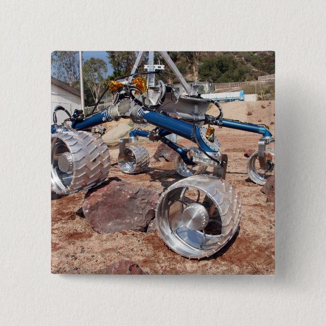 Scarecrow, a mobility-testing model button (Front)