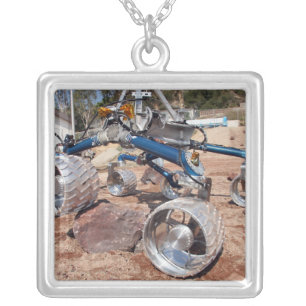 Scarecrow, a mobility-testing model silver plated necklace