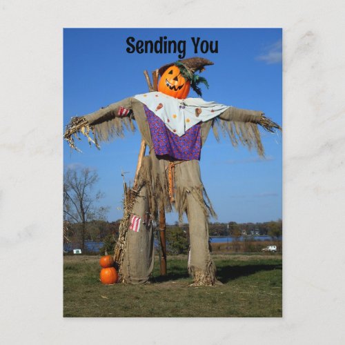 Scarecrow Halloween Holiday Postcard