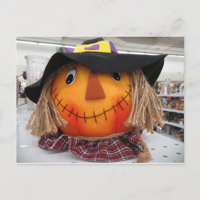 Scarecrow Head Postcard (Front)
