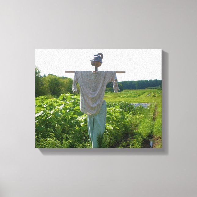 Scarecrow In Garden Field  Canvas Print (Front)