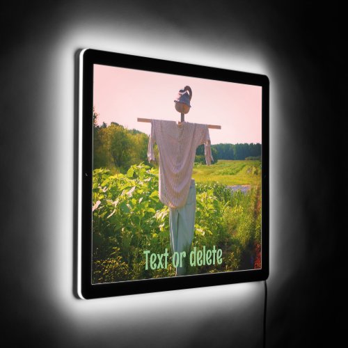Scarecrow In Garden Field Personalized LED Sign