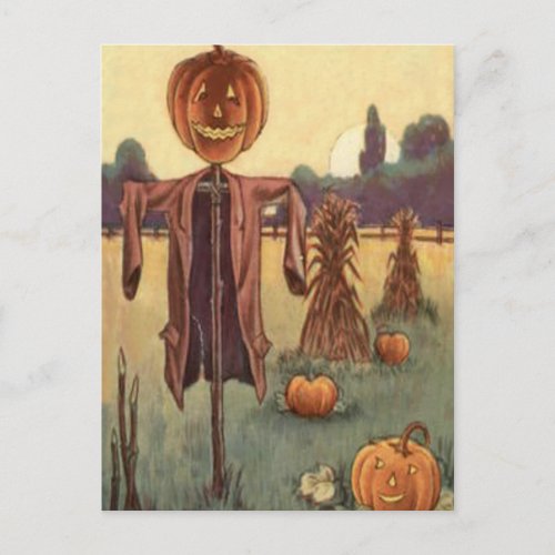 Scarecrow Jack O Lantern Pumpkin Postcard