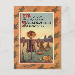 Scarecrow Jack O Lantern Pumpkin Postcard