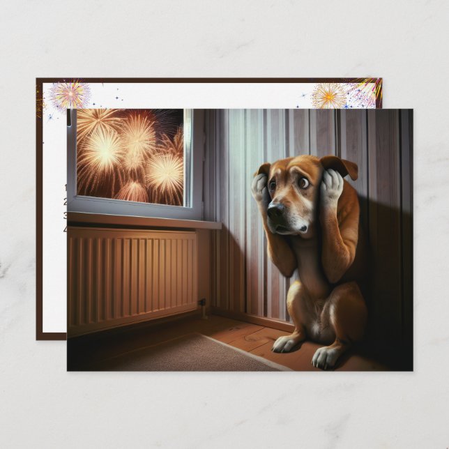 Scared Dog Watching Fireworks Postcard (Front/Back)