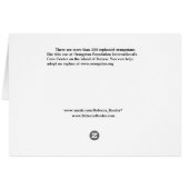Scared Endangered Orangutan Cards (Back Horizontal)