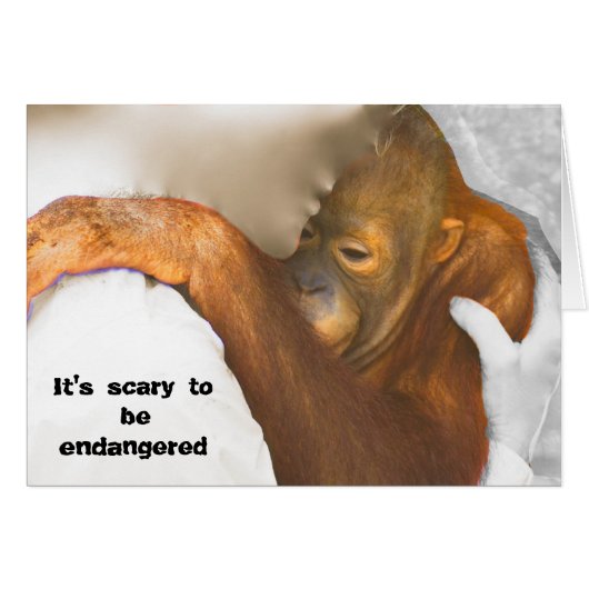 Scared Endangered Orangutan Cards (Front Horizontal)