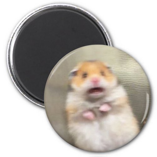 Scared Hamster Meme Magnet