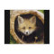 Scared Little Fox