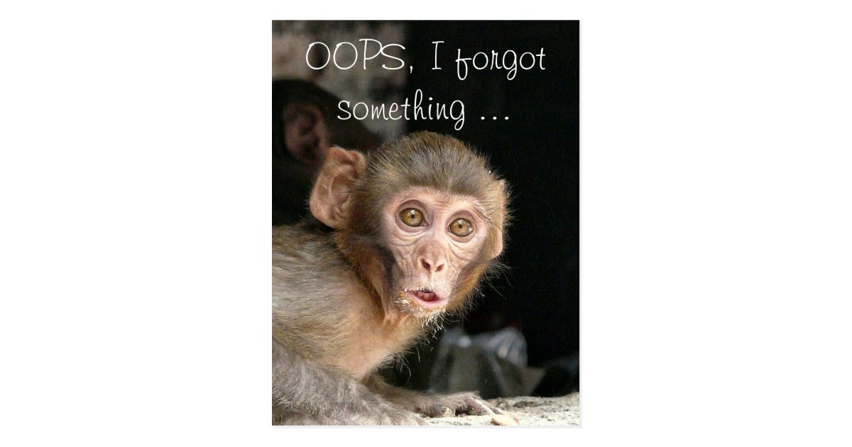 scared monkey with big eyes text card zazzle com green card office address