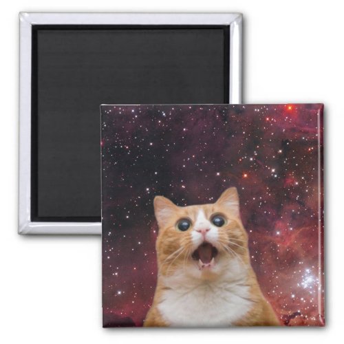 scaredy cat in space _ feline magnet