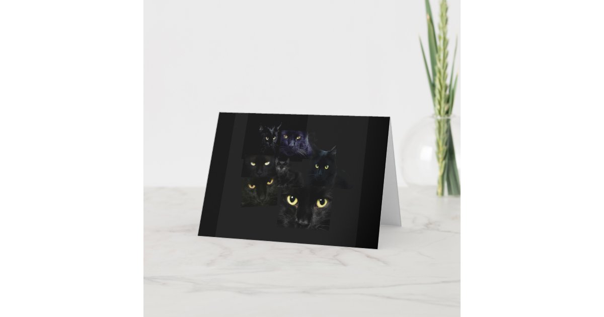 Scaredy cats | Greeting Card