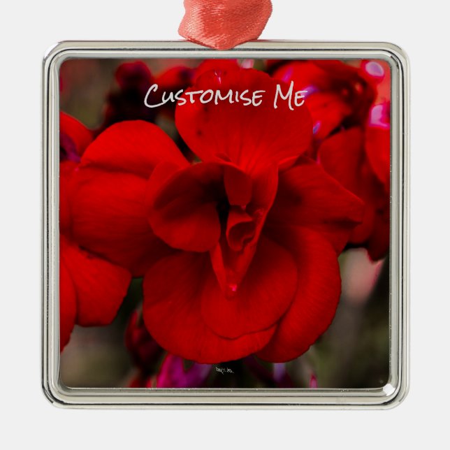 Scarlet Begonias Metal Ornament (Front)