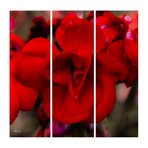 Scarlet Begonias Triptych