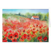 Scarlet Carpet (Front Horizontal)