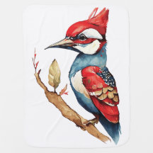 Scarlet Crest Woodpecker