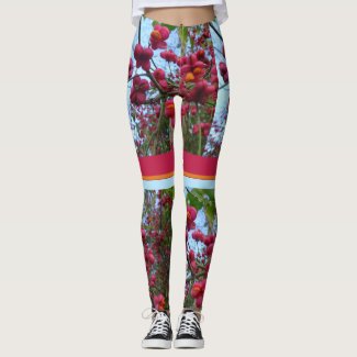 Scarlet Hat Legging