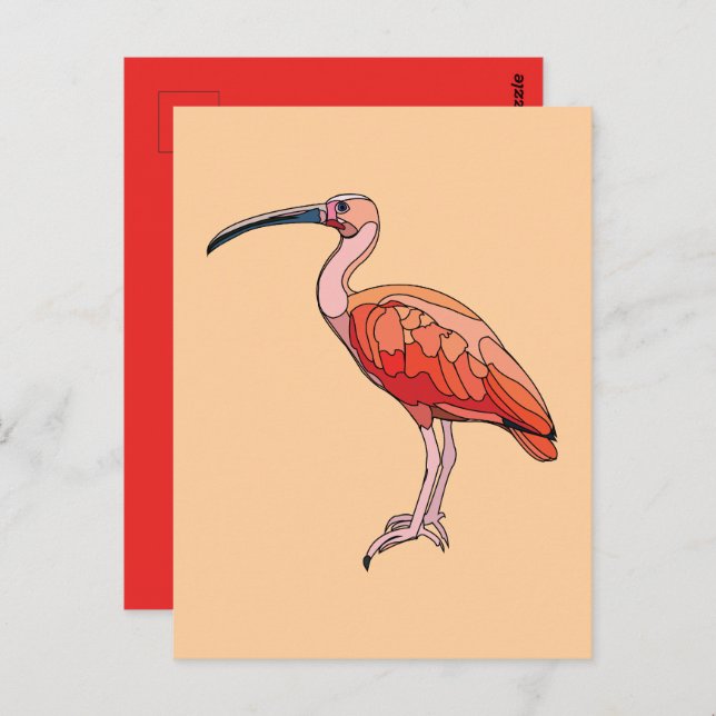 Scarlet Ibis Bird Postcard (Front/Back)