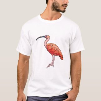 Scarlet Ibis Bird T-Shirt
