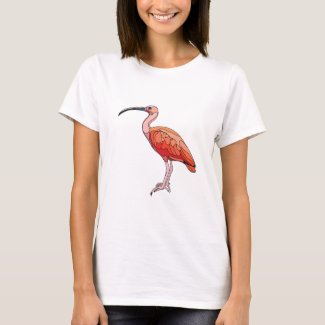 Scarlet Ibis Bird T-Shirt