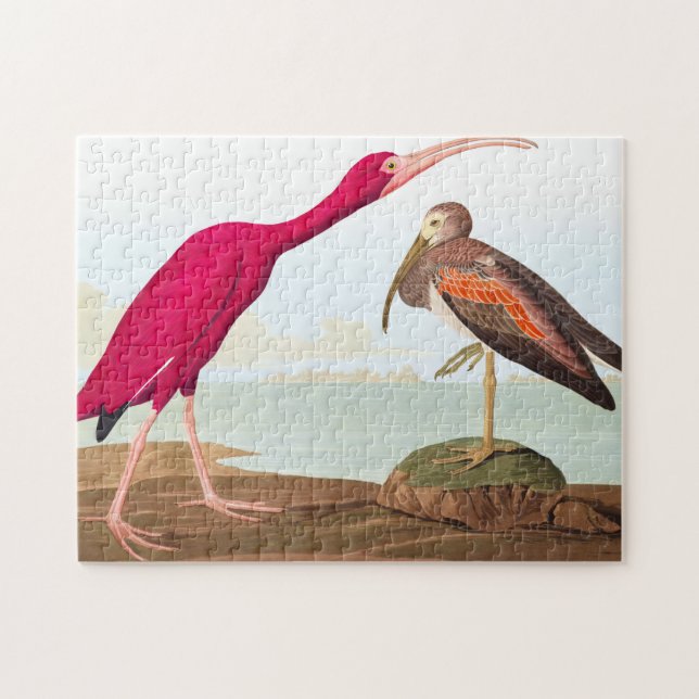 Scarlet ibis by John James Audubon Jigsaw Puzzle (Horizontal)
