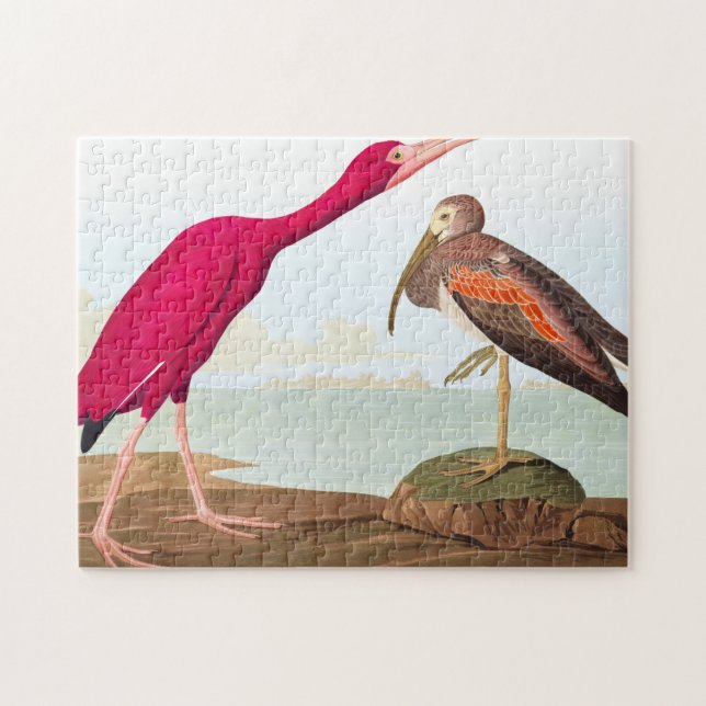 Scarlet ibis by John James Audubon Jigsaw Puzzle (Horizontal)