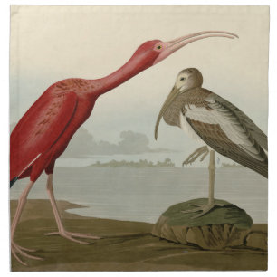 Scarlet Ibis - from Audubon's Birds of America Cloth Napkin