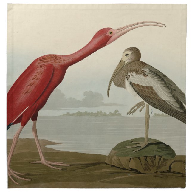 Scarlet Ibis - from Audubon's Birds of America Cloth Napkin (Front)