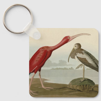 Scarlet Ibis - from Audubon's Birds of America Keychain