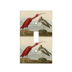 Scarlet Ibis - from Audubon's Birds of America Light Switch Cover