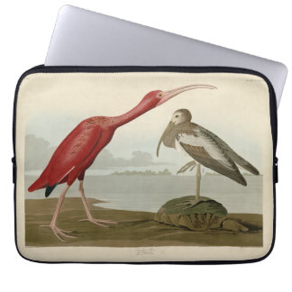 Scarlet Ibis - from Audubon's Birds of America Pos Laptop Sleeve