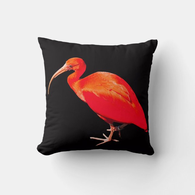 Scarlet Ibis Throw Pillow (Front)