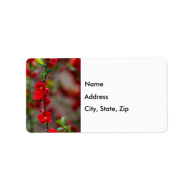 Scarlet Line Address Labels (Front)