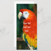 Scarlet Macaw (Front/Back)
