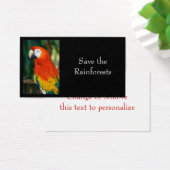 Scarlet Macaw (Desk)